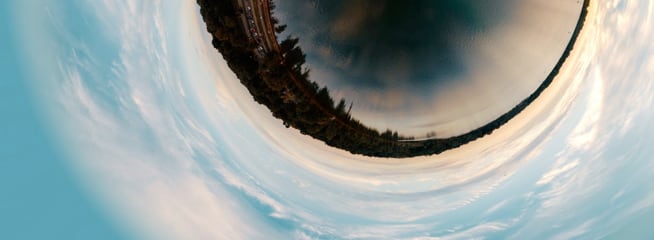 a fish eye